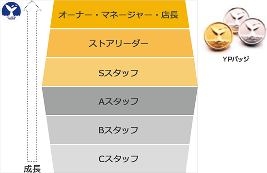 スタッフ教育システム「イエローテイルプログラム」